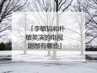 李敏镐和朴敏英演的电视剧都有哪些