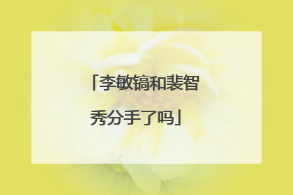 李敏镐和裴智秀分手了吗