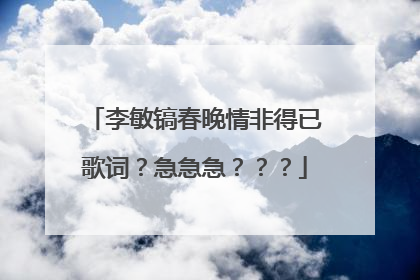 李敏镐春晚情非得已歌词?急急急???
