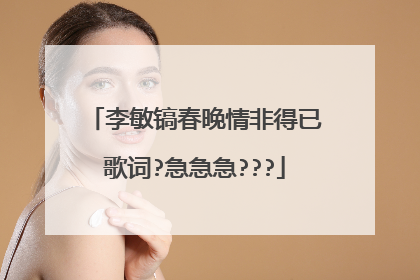 李敏镐春晚情非得已歌词?急急急???