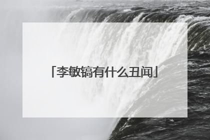 李敏镐有什么丑闻