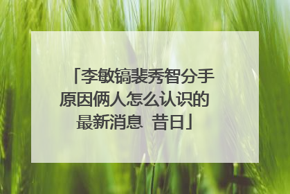 李敏镐裴秀智分手原因俩人怎么认识的最新消息 昔日