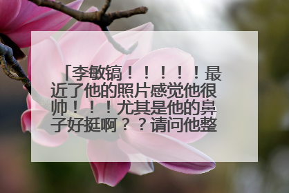 李敏镐!!!!!最近了他的照片感觉他很帅!!!尤其是他的鼻子好挺啊??请问他整过容吗???