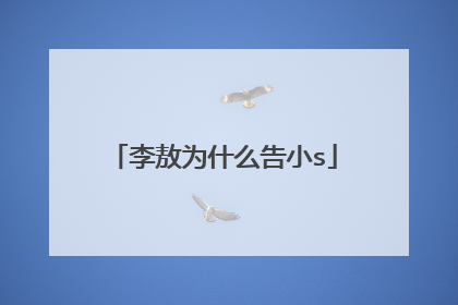 李敖为什么告小s