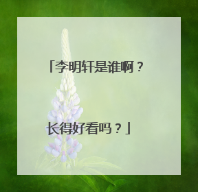 李明轩是谁啊？长得好看吗？