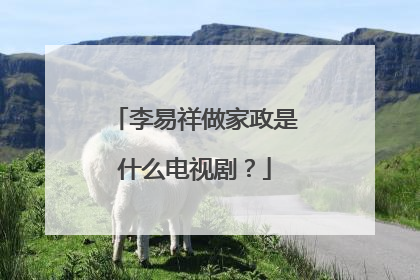 李易祥做家政是什么电视剧？
