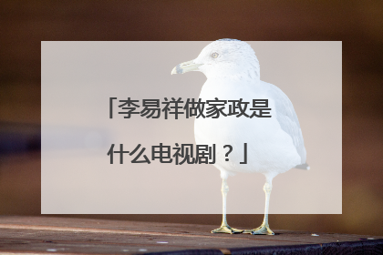 李易祥做家政是什么电视剧？