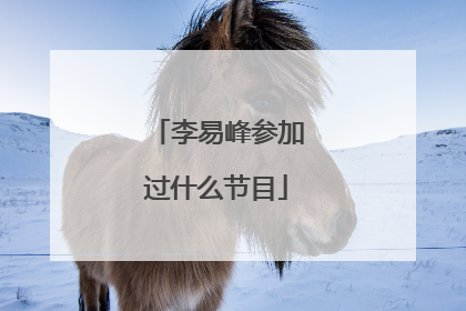 李易峰参加过什么节目