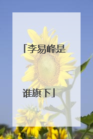 李易峰是谁旗下