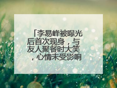 李易峰被曝光后首次现身,与友人聚餐时大笑,心情未受影响,你怎么看?
