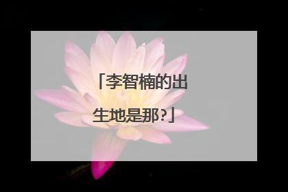 李智楠的出生地是那?