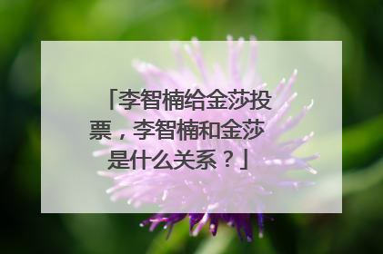 李智楠给金莎投票，李智楠和金莎是什么关系？