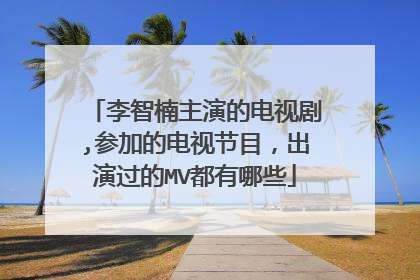 李智楠主演的电视剧,参加的电视节目，出演过的MV都有哪些