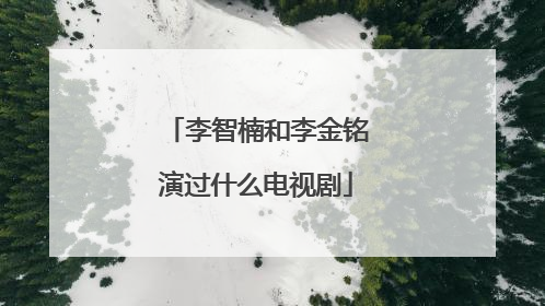 李智楠和李金铭演过什么电视剧