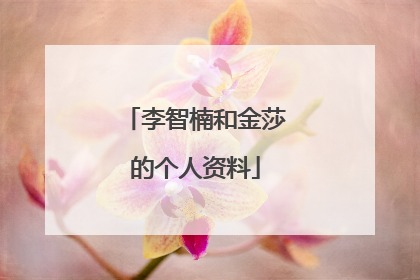 李智楠和金莎的个人资料