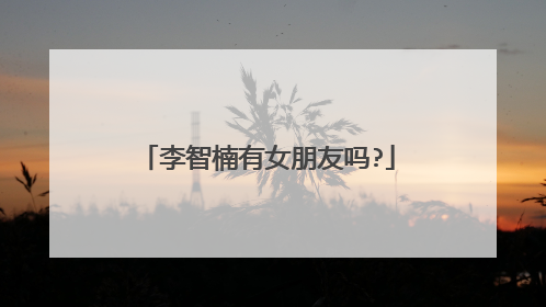 李智楠有女朋友吗?