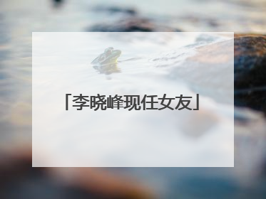 李晓峰现任女友