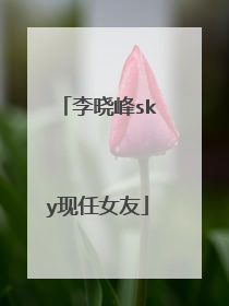 李晓峰sky现任女友