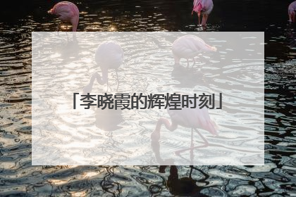 李晓霞的辉煌时刻