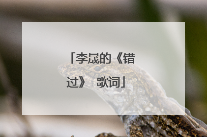 李晟的《错过》 歌词