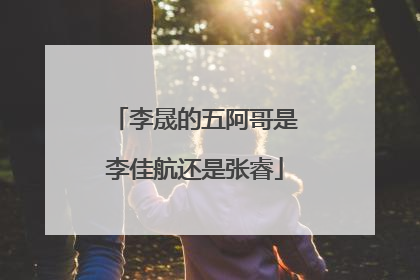 李晟的五阿哥是李佳航还是张睿