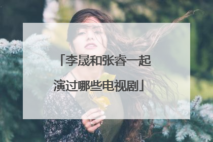 李晟和张睿一起演过哪些电视剧