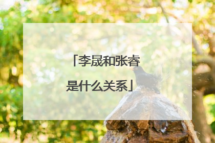 李晟和张睿是什么关系