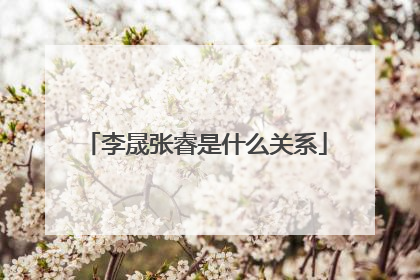 李晟张睿是什么关系