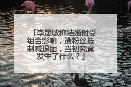李晟敏称结婚时受组合影响，遭粉丝抵制喊退团，当初究竟发生了什么？