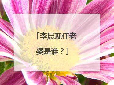 李晨现任老婆是谁？