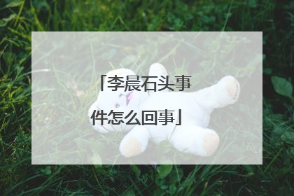 李晨石头事件怎么回事