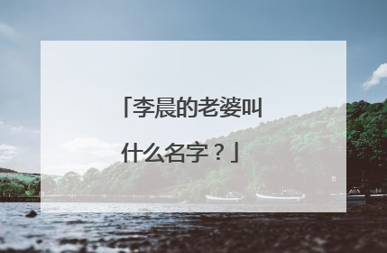 李晨的老婆叫什么名字？