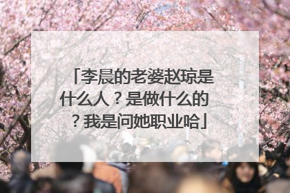 李晨的老婆赵琼是什么人？是做什么的？我是问她职业哈