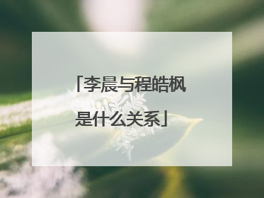 李晨与程皓枫是什么关系