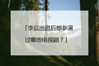 李晨出道后都参演过哪些电视剧？