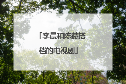 李晨和陈赫搭档的电视剧