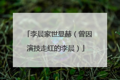 李晨家世显赫(曾因演技走红的李晨)