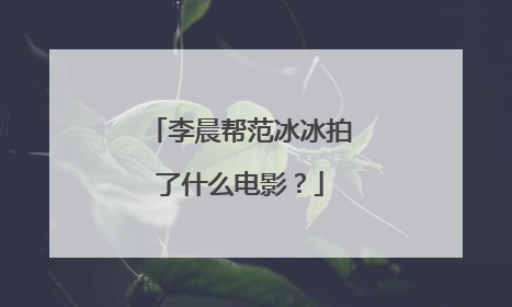 李晨帮范冰冰拍了什么电影？