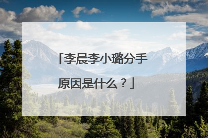 李晨李小璐分手原因是什么？