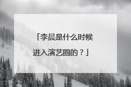 李晨是什么时候进入演艺圈的？