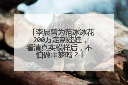 李晨曾为范冰冰花200万定制娃娃，看清真实模样后，不怕做噩梦吗？