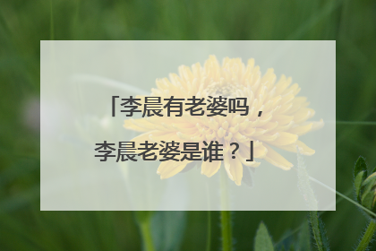 李晨有老婆吗，李晨老婆是谁？