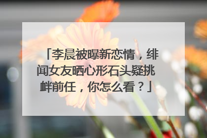 李晨被曝新恋情，绯闻女友晒心形石头疑挑衅前任，你怎么看？
