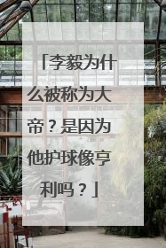 李毅为什么被称为大帝？是因为他护球像亨利吗？
