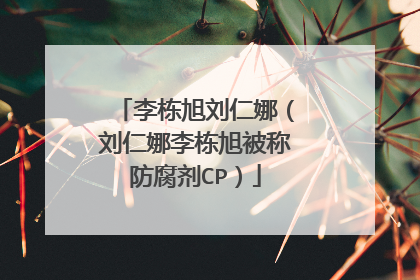 李栋旭刘仁娜（刘仁娜李栋旭被称防腐剂CP）