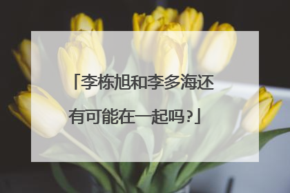李栋旭和李多海还有可能在一起吗?