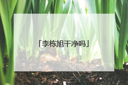 李栋旭干净吗