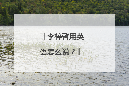 李梓馨用英语怎么说?