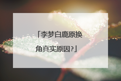 李梦白鹿原换角真实原因?