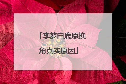 李梦白鹿原换角真实原因